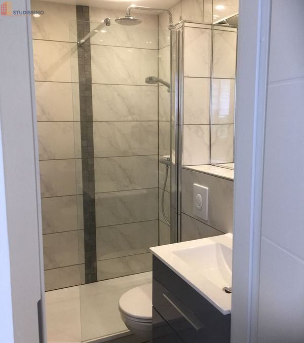 Studio meublé 23m² Mulhouse centre - Équipé, lumineux - Photo 1