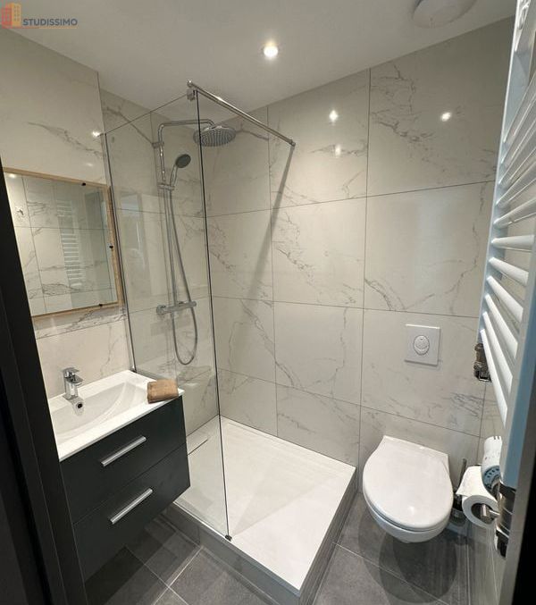 Studio meublé 20m² Mulhouse centre - Plein centre, meublé - Photo 1