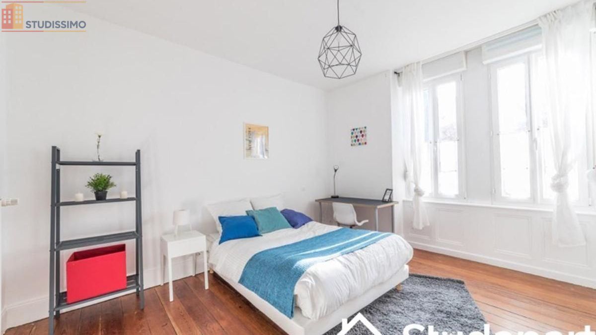 Studio meublé 20m² Strasbourg centre - Lumineux, DPE A - Photo 1