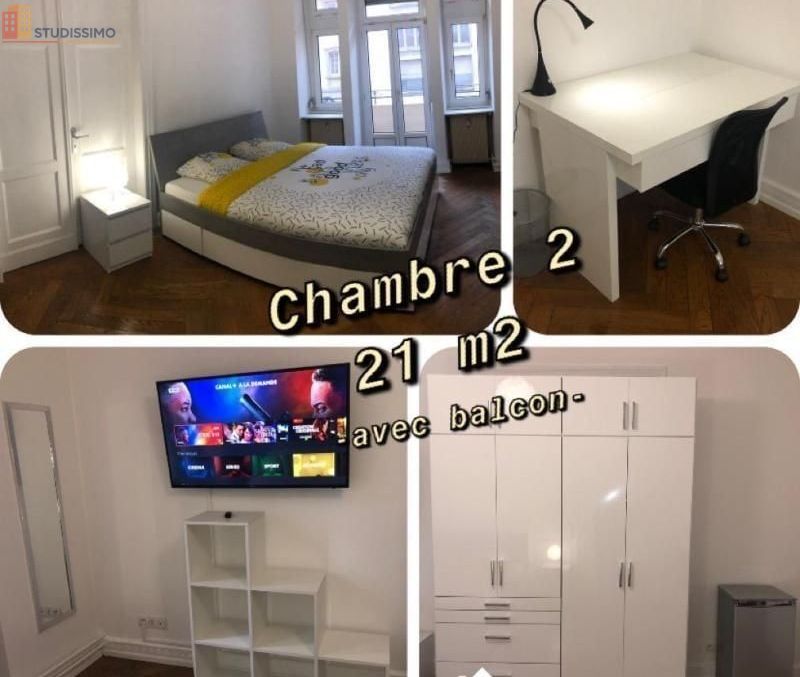 Studio meublé 16m² Strasbourg centre - Lumineux - Photo 3