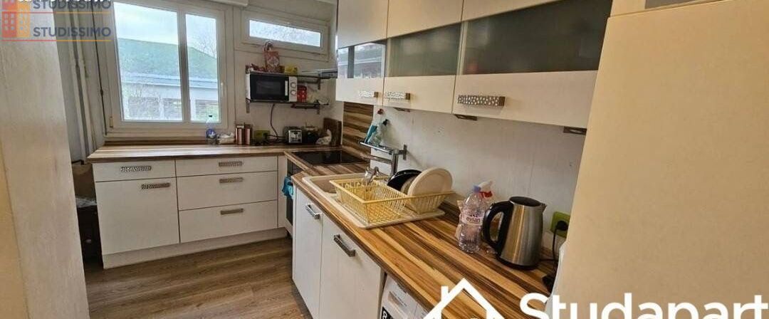 Studio meublé 22m² Strasbourg 67200 - Meublé, lumineux - Photo 4
