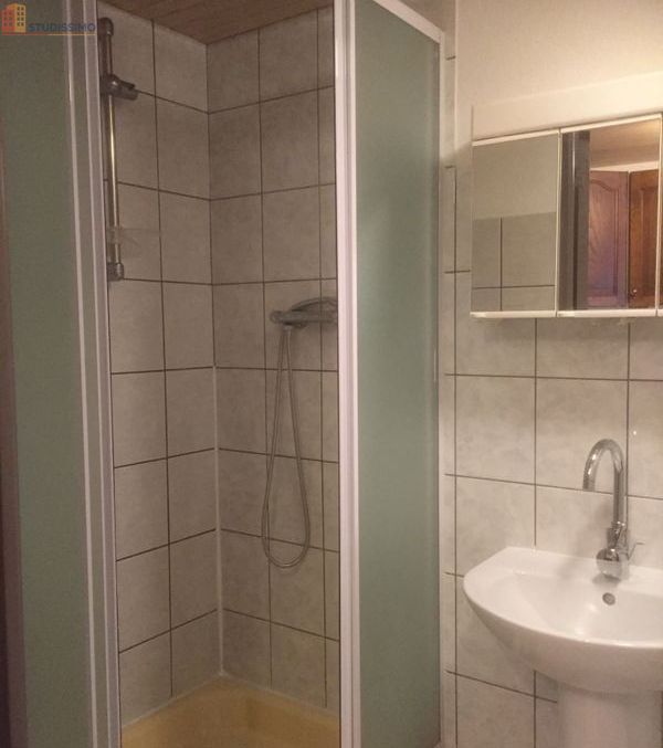 Studio meublé 22m² Munster - Meublé, 2e étage - Photo 1