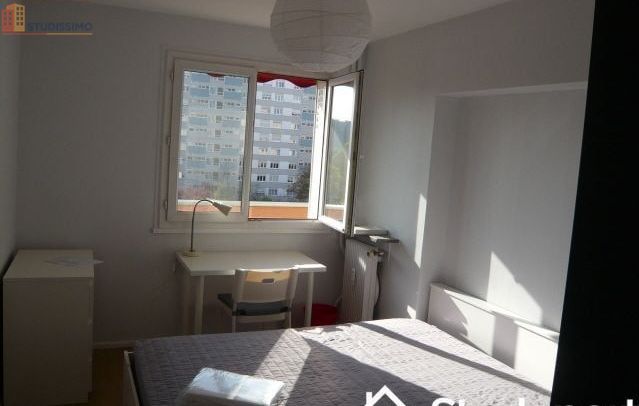 Studio meublé 14m² Strasbourg - Étage élevé, lumineux - Photo 3