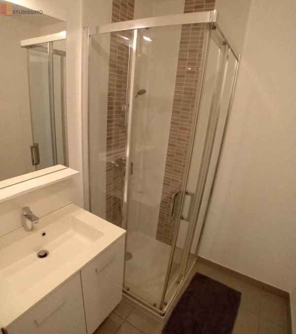 Studio 39m² Fegersheim - Meublé, DPE B - Photo 4
