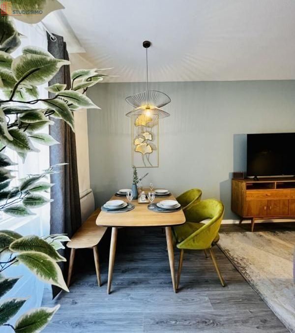 Studio meublé 9m² Strasbourg - Meublé, DPE A - Photo 3