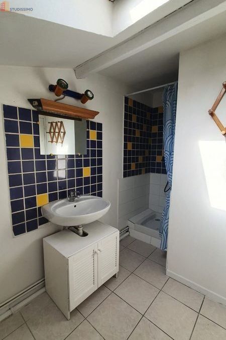 Studio meublé 25m² Ensisheim - Meublé, 1er étage - Photo 1