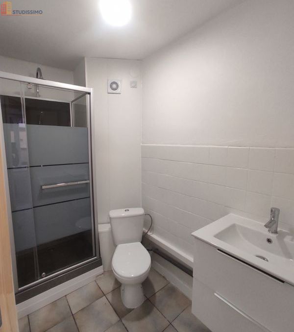 Studio meublé 25m² Thann - Entièrement rénové - Photo 2
