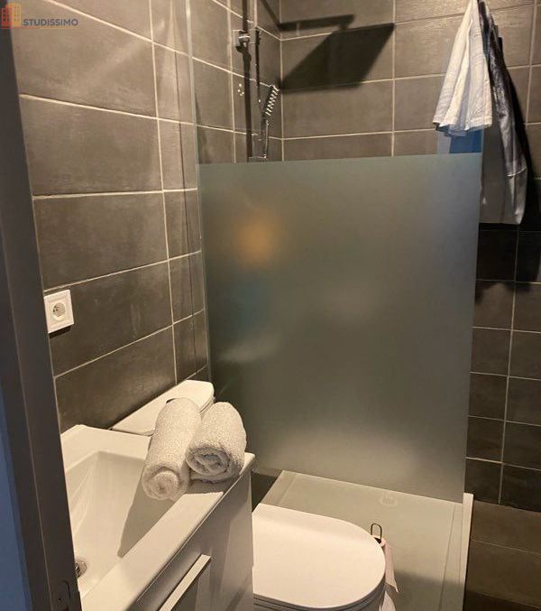 Studio meublé 35m² Morschwiller-le-Bas - Meublé, lumineux - Photo 2