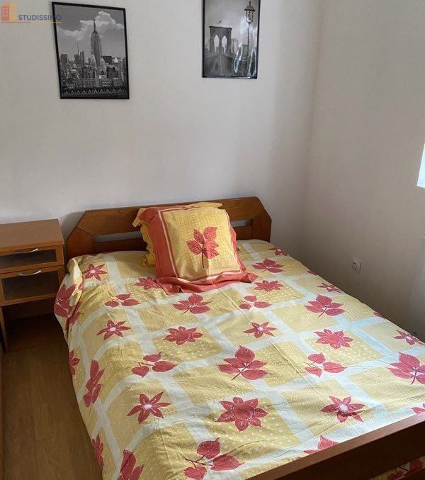 Studio meublé 35m² Morschwiller-le-Bas - Meublé, lumineux - Photo 1