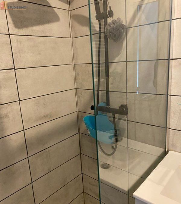 Studio meublé 35m² Morschwiller-le-Bas - Meublé, DPE C - Photo 2