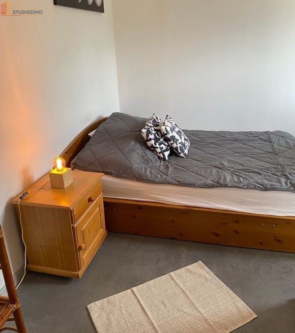 Studio meublé 35m² Morschwiller-le-Bas - Meublé, DPE C - Photo 1