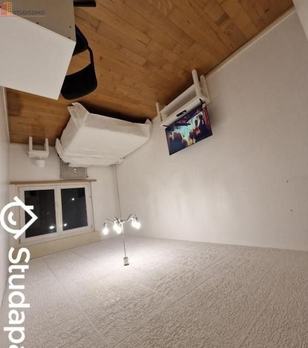 Studio meublé 12m² Hoenheim - Calme, lumineux - Photo 3