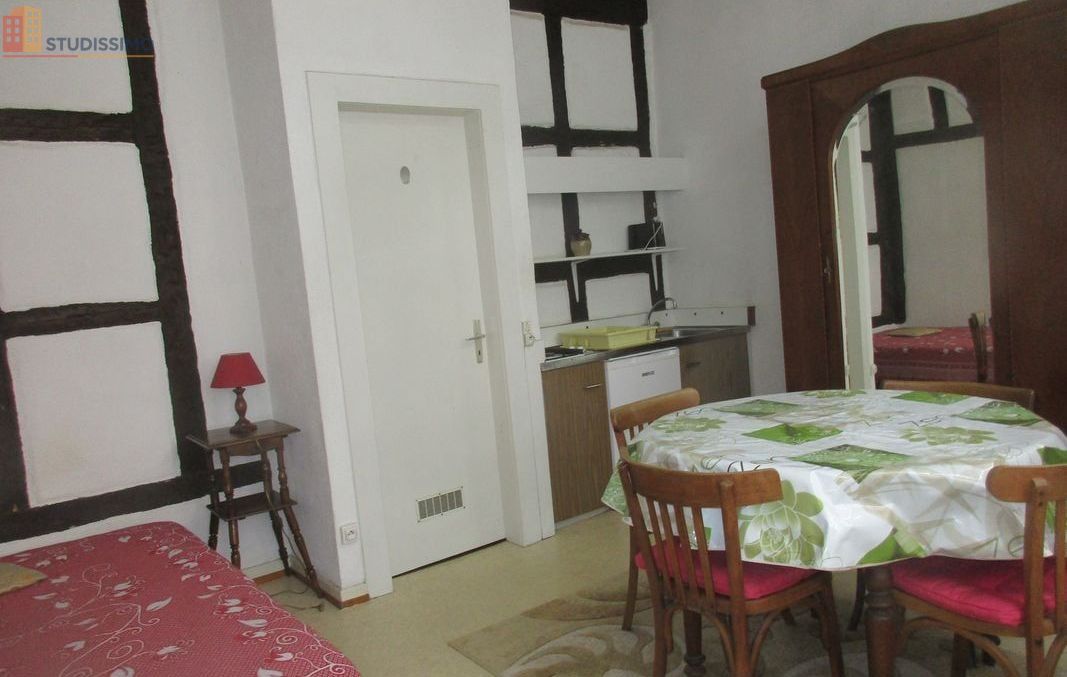 Studio meublé 24m² Colmar 68000 - Étudiant, proche Tanneur - Photo 2