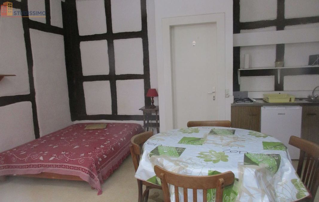Studio meublé 24m² Colmar 68000 - Étudiant, proche Tanneur - Photo 1