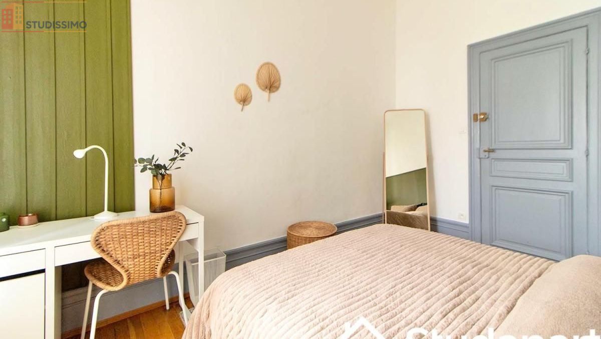 Studio meublé 25m² Strasbourg centre - Lumineux, DPE A - Photo 2