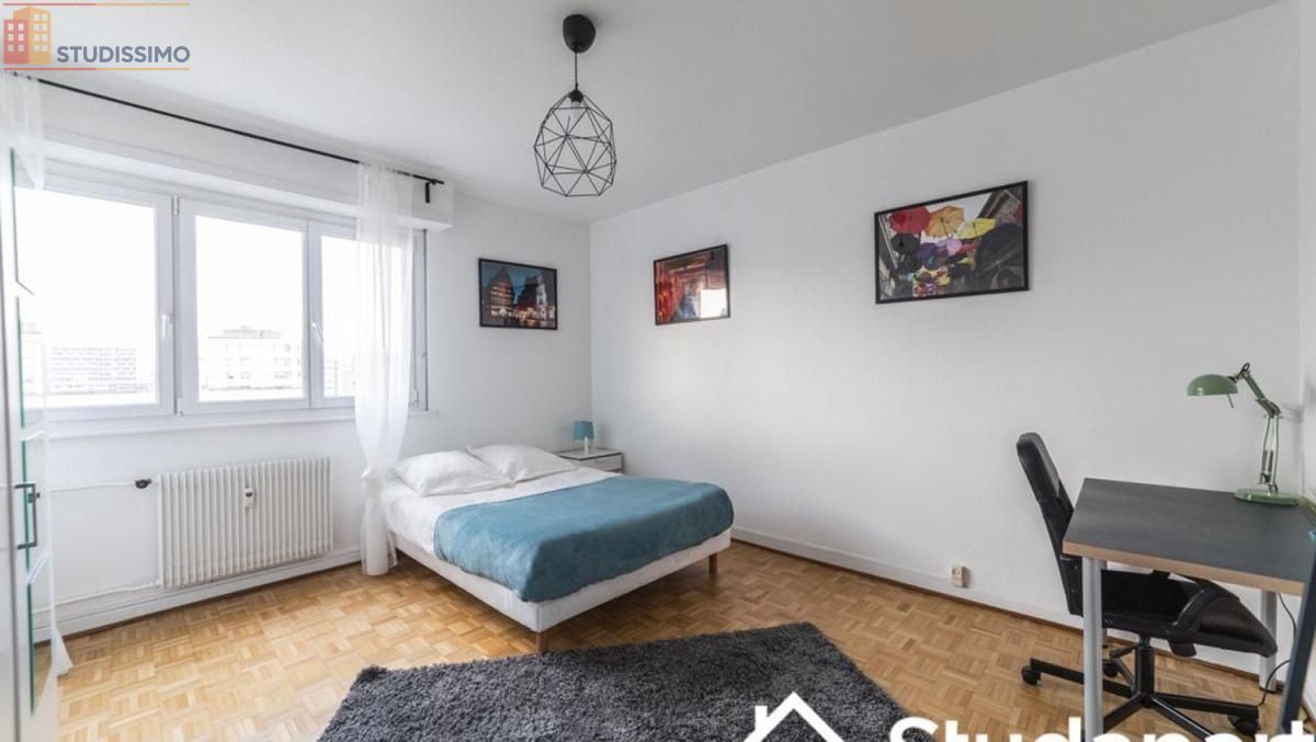 Studio meublé 16m² Strasbourg centre - Lumineux, 9e étage - Photo 1