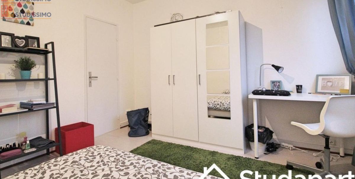 Studio meublé 20m² Strasbourg centre - Lumineux, DPE A - Photo 3