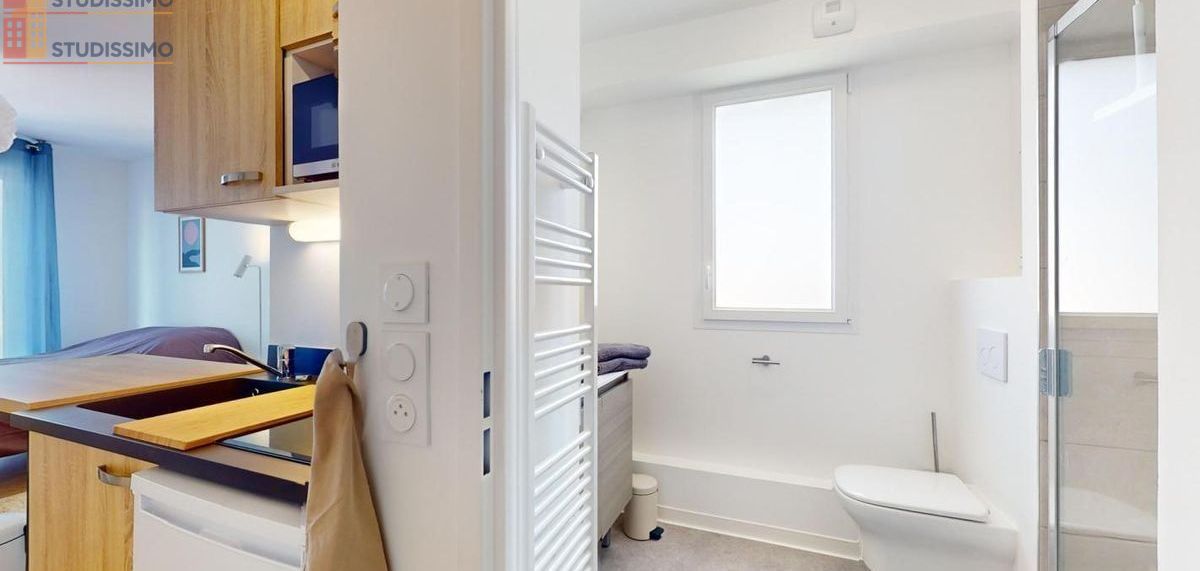 Studio meublé 20m² Clermont-Ferrand 63100 - Meublé, 1 pièce - Photo 4