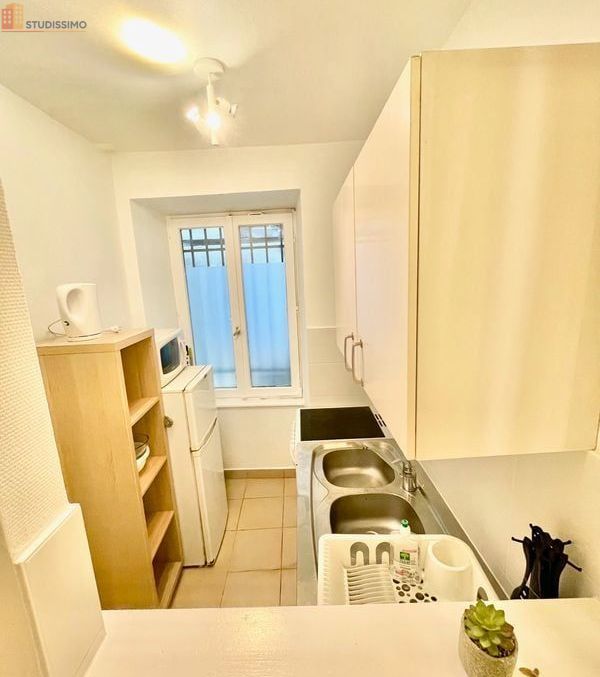 Studio 28m² Strasbourg Krutenau - Meublé, très lumineux - Photo 2