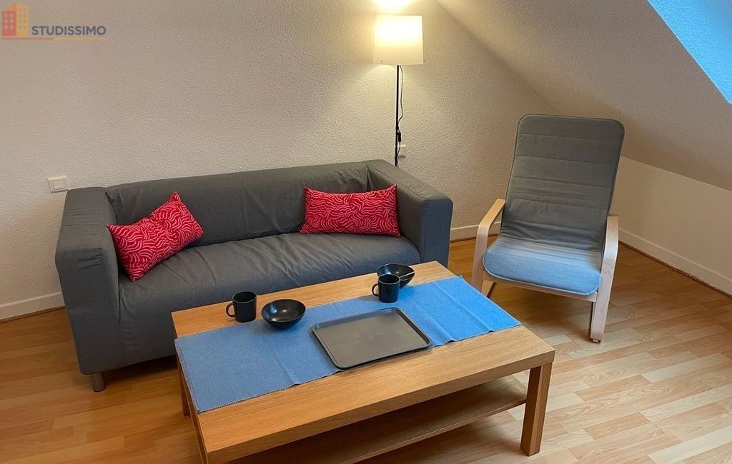 Studio meublé 20m² Saverne - Confortable, centre-ville - Photo 1