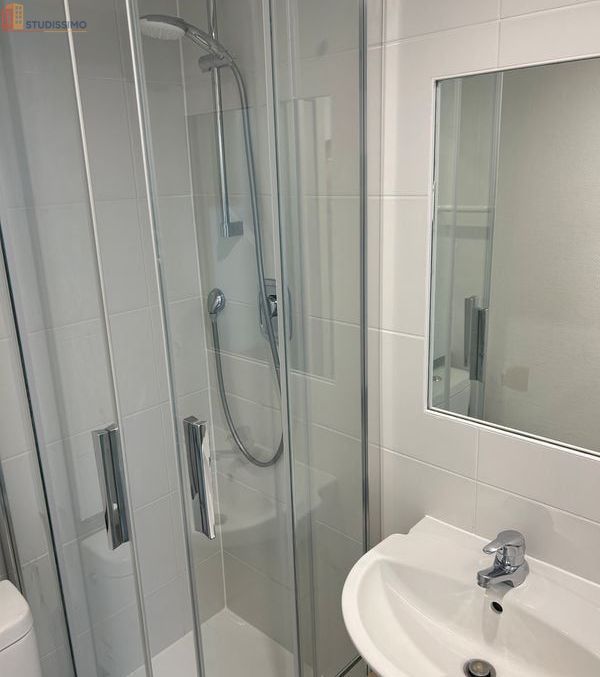 Studio 19m² Strasbourg Contades - Refait à neuf, meublé - Photo 1