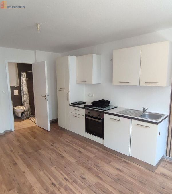 Studio 17m² Sélestat - lumineux - Photo 3