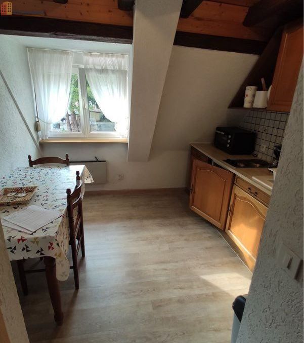 Studio meublé 25m² Niederbronn-les-Bains - Fonctionnel, équipé - Photo 1