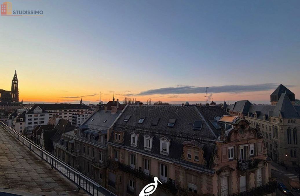 Studio 19m² Strasbourg 67000 - 7e étage, vue dégagée - Photo 1