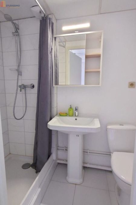 Studio 15m² Illkirch-Graffenstaden - Pour étudiant, lumineux - Photo 2