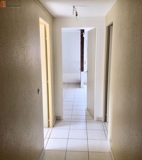 Studio 32m² Maisonsgoutte 67220 - Proche Sélestat, calme - Photo 1