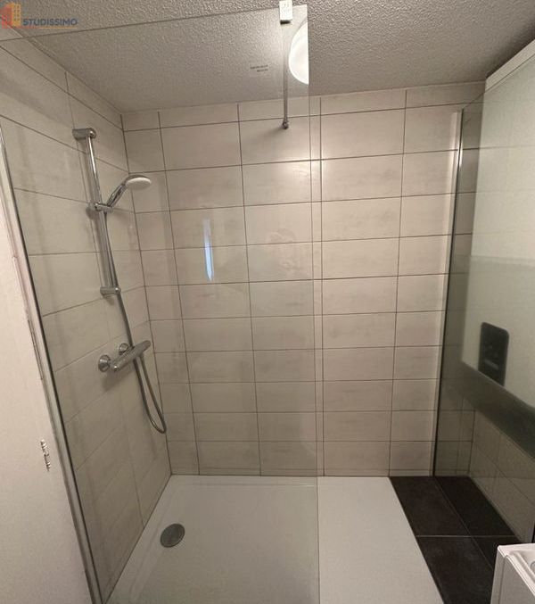 Studio 23m² Strasbourg centre - Meublé, dernier étage - Photo 4