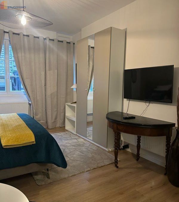 Studio meublé 30m² Obernai - Centre-ville, charmant - Photo 4