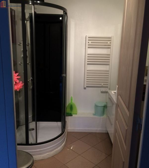 Studio 28m² Haguenau - Meublé - Photo 2