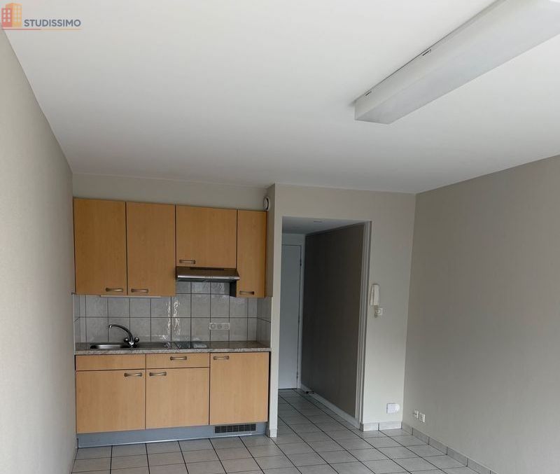 Studio 26m² Strasbourg Krutenau - Lumineux, calme - Photo 2