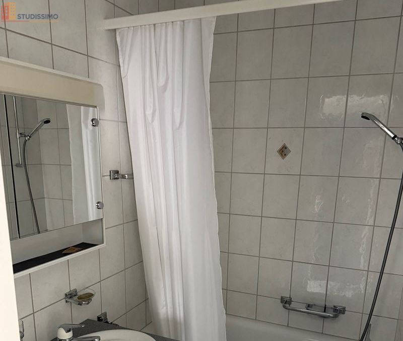 Studio 26m² Strasbourg Krutenau - Lumineux, calme - Photo 1