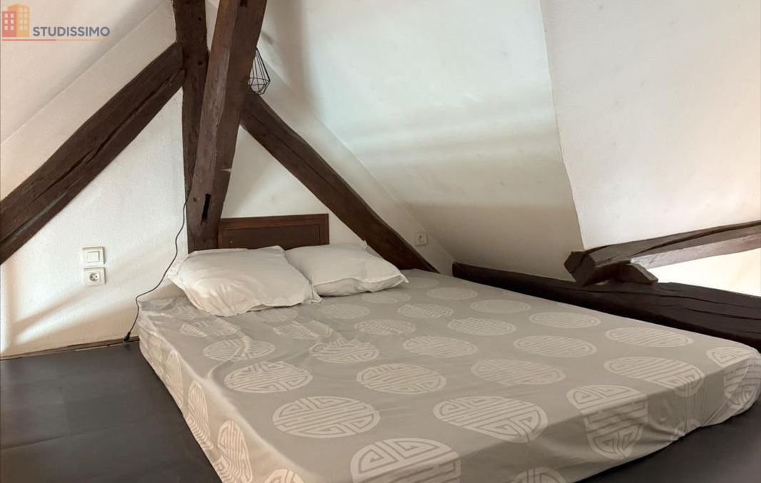 Studio 28m² Mainvilliers - Coin nuit séparé - Photo 1