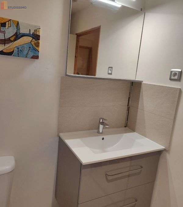 Studio 30m² Gries 67240 - Proche Haguenau - Photo 2