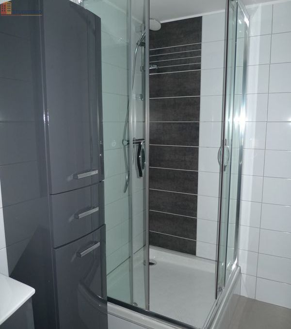Studio meublé 45m² Ettendorf 67350 - Meublé, DPE C - Photo 3