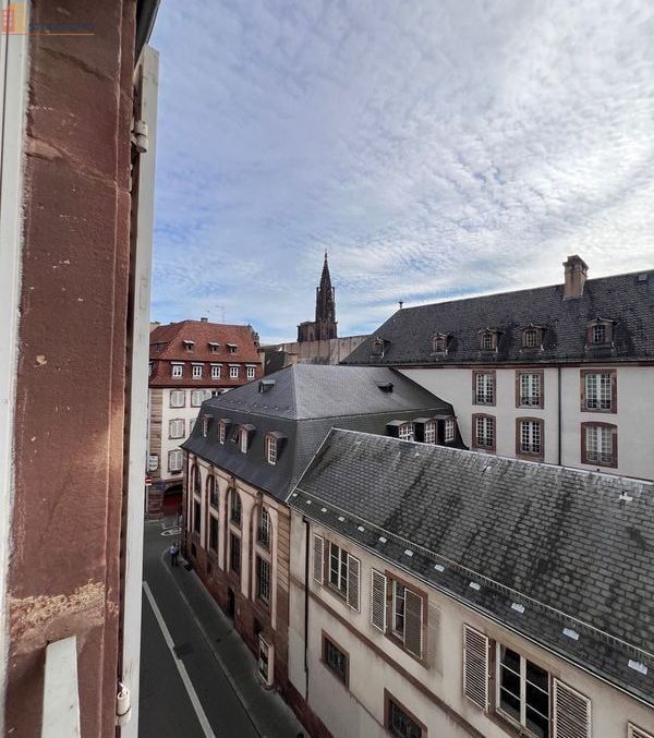 Studio 24m² Strasbourg centre - Meublé, résidence - Photo 3