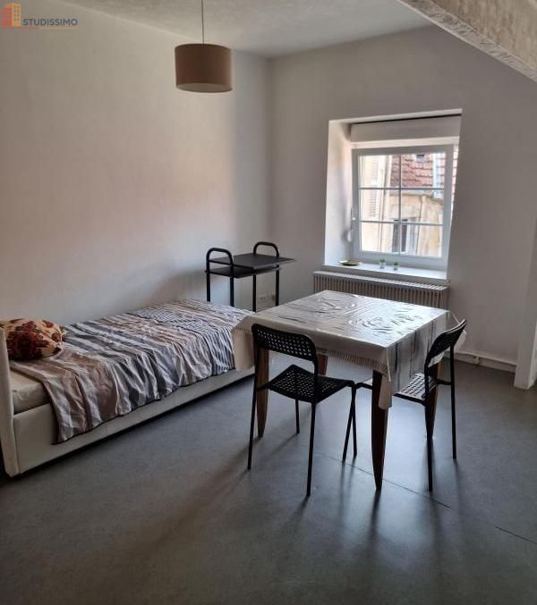 Studio meublé 35m² Vesoul - Meublé, DPE C - Photo 7