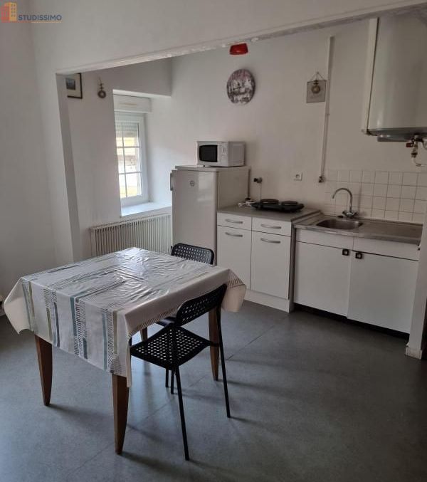 Studio meublé 35m² Vesoul - Meublé, DPE C - Photo 5