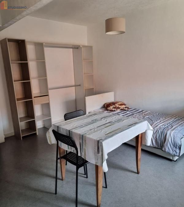 Studio meublé 35m² Vesoul - Meublé, DPE C - Photo 4