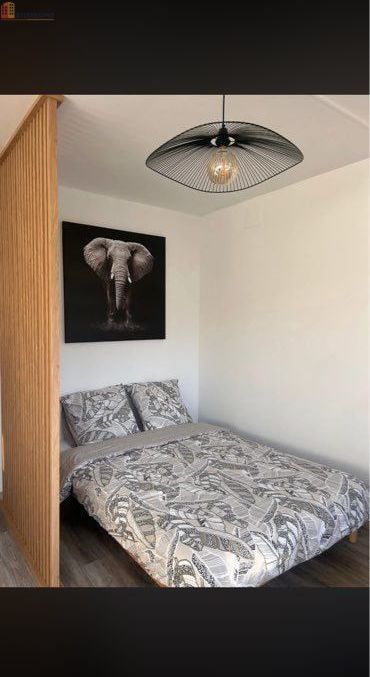 Studio meublé 28m² Chamalières - Lumineux, proche centre-ville - Photo 2