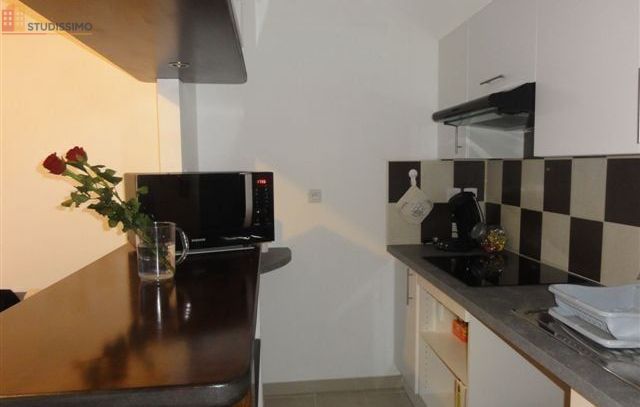 Studio meublé 26m² Le Creusot - Meublé, dernier étage - Photo 6