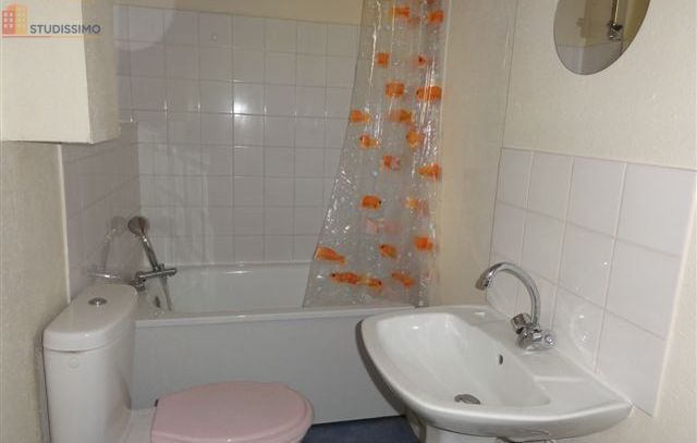 Studio meublé 15m² Le Creusot - Meublé, DPE D - Photo 1
