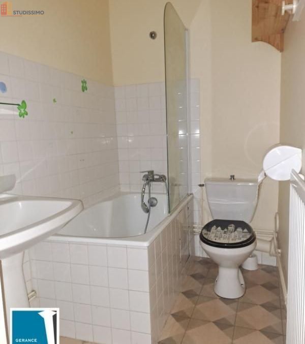 Studio meublé 35m² Chalon-sur-Saône - Lumineux, dernier étage - Photo 1