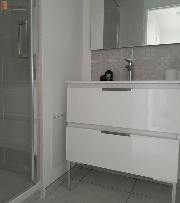 Studio 32m² Champforgeuil - 5e étage, lumineux - Photo 6