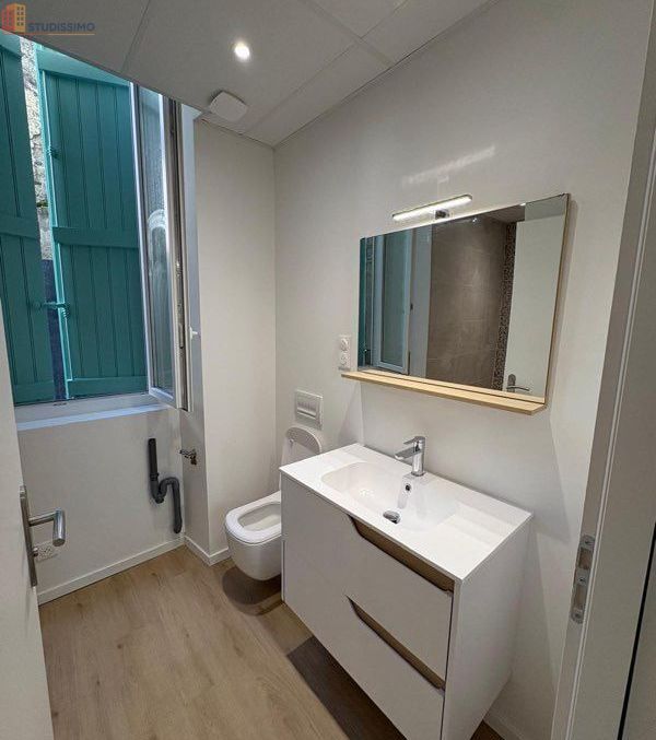 Studio 24m² Sauveterre-de-Béarn - DPE C, lumineux - Photo 1