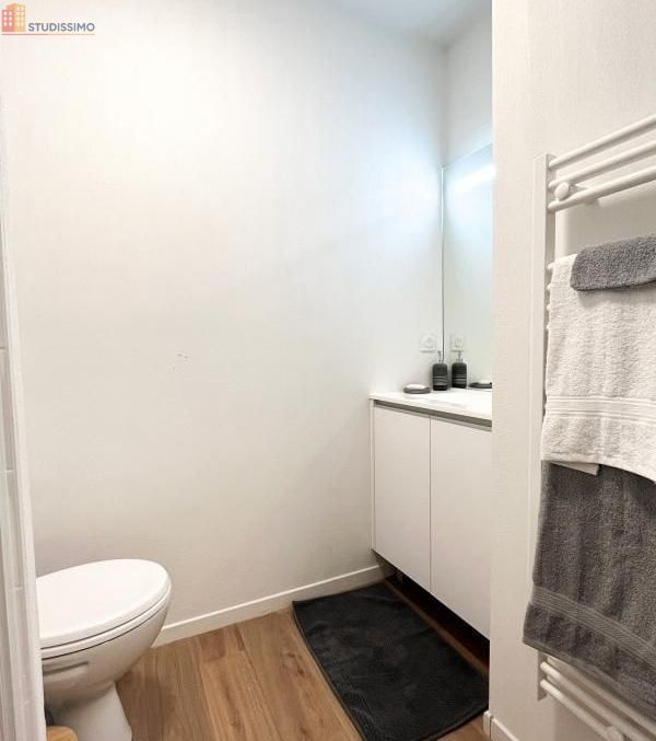 Studio meublé 20m² Pau centre - Meublé, DPE B - Photo 2