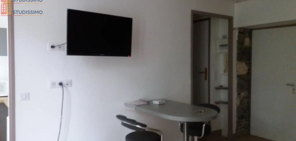 Studio meublé 25m² Pau centre - Lumineux, 2e étage - Photo 5